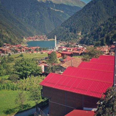 Horio Villa Uzungol Exterior foto