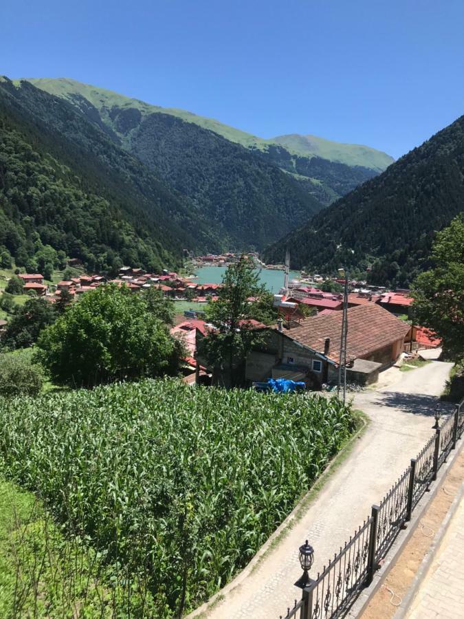 Horio Villa Uzungol Exterior foto