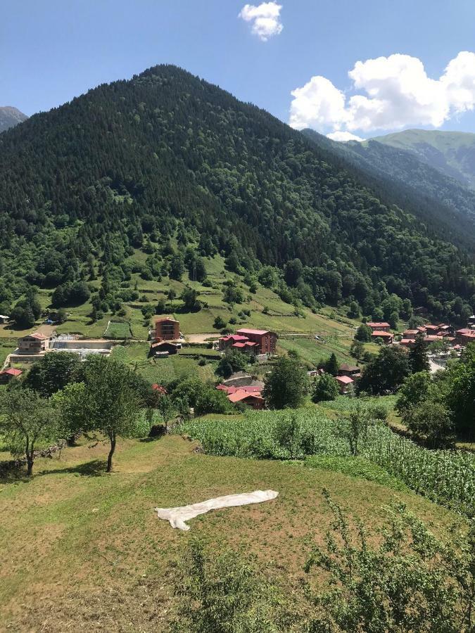 Horio Villa Uzungol Exterior foto